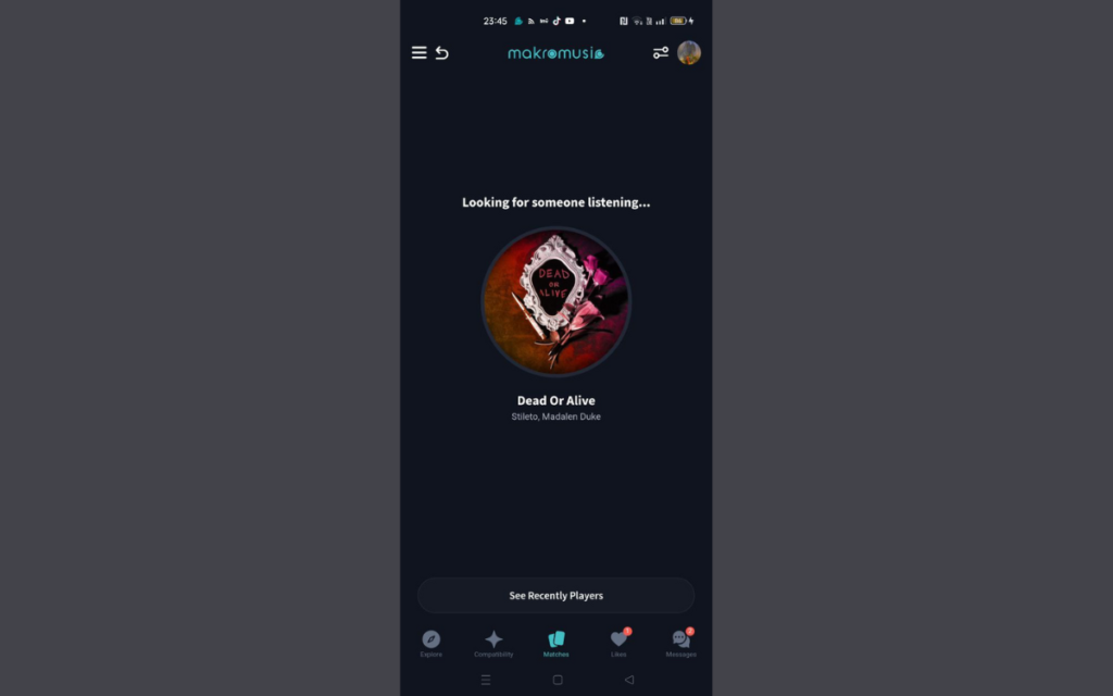 What is Makromusic?
